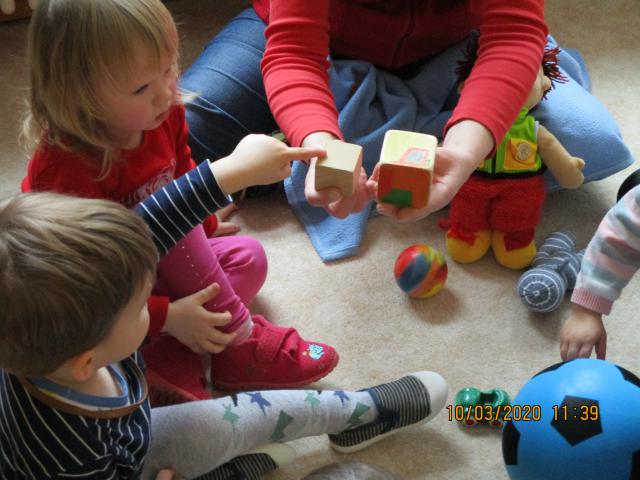 Bild