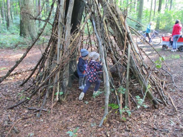 Bild