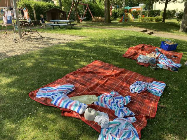 Bild