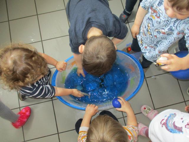Bild