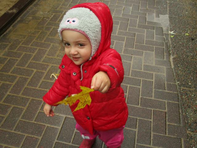 Bild