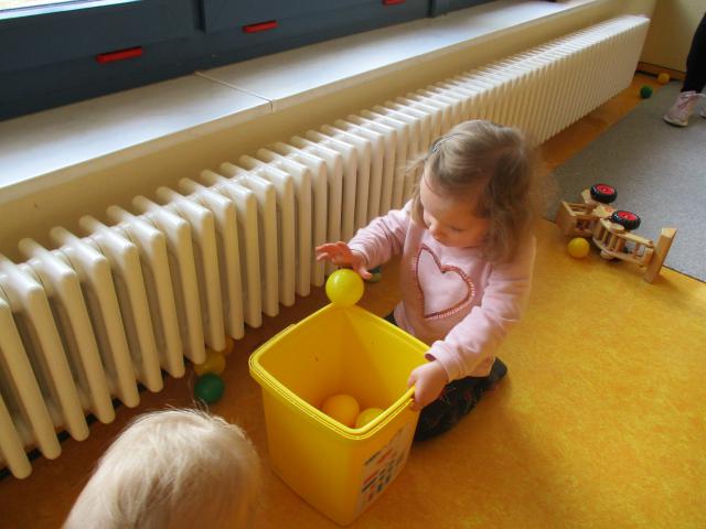 Bild