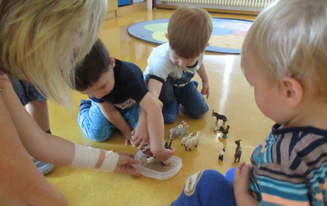 Bild