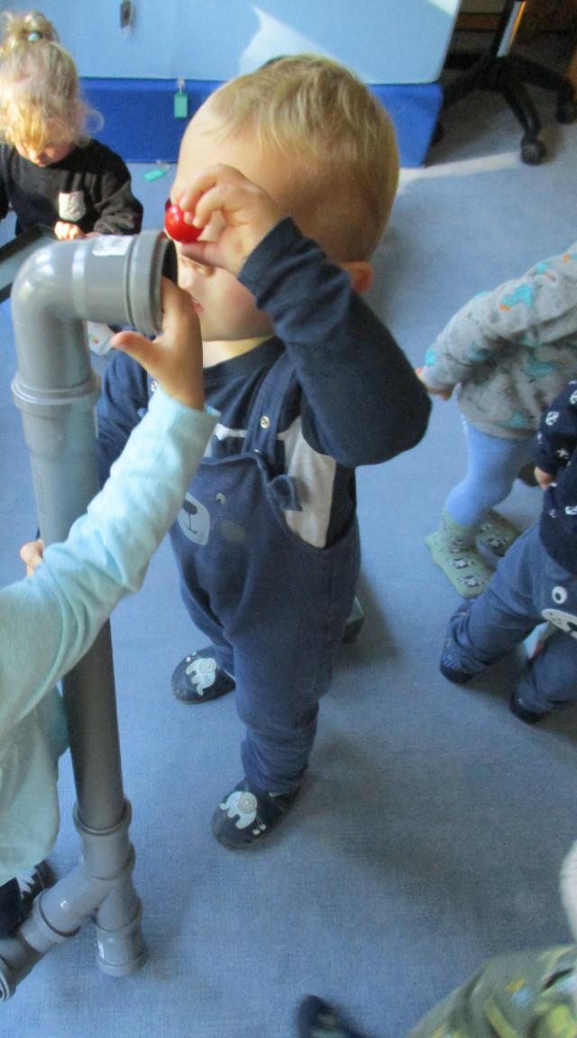 Bild