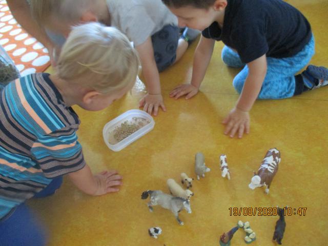 Bild