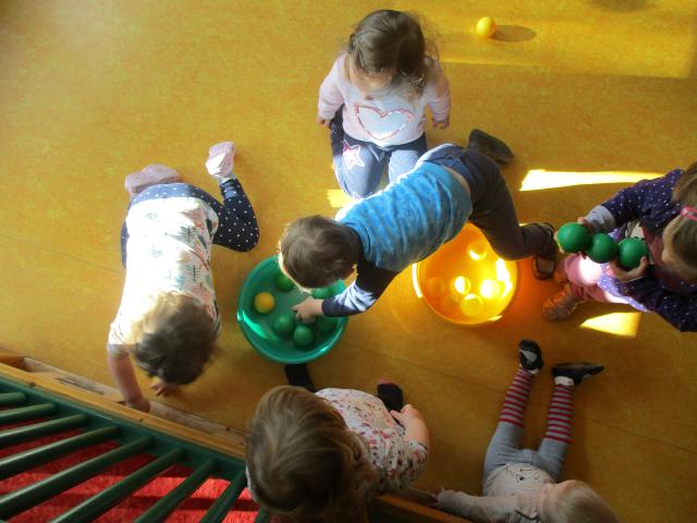 Bild