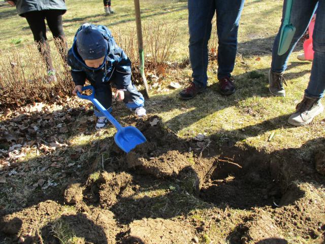 Bild