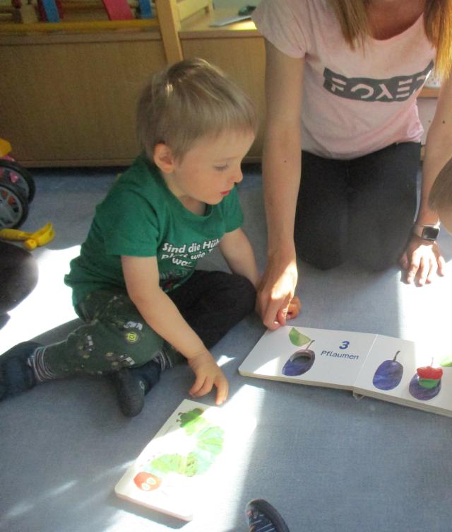 Bild