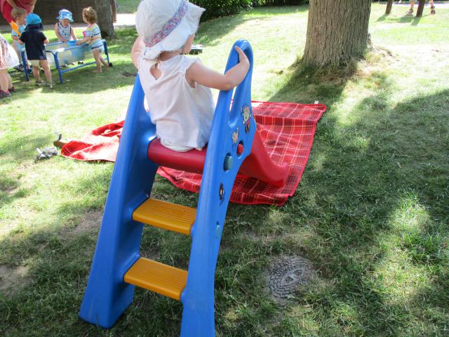Bild