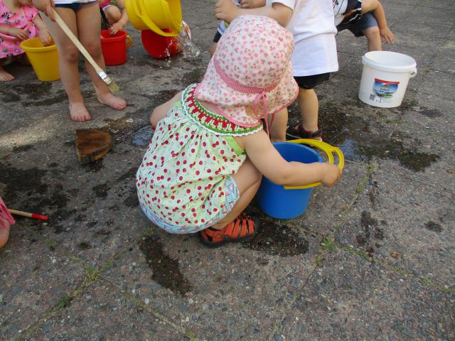 Bild