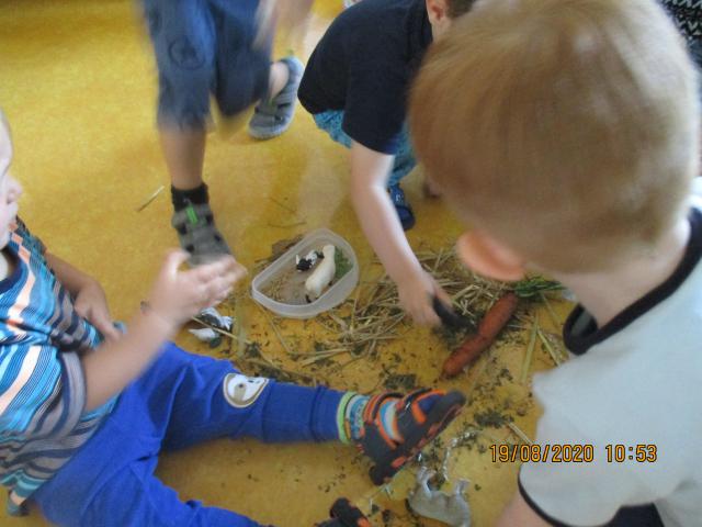 Bild